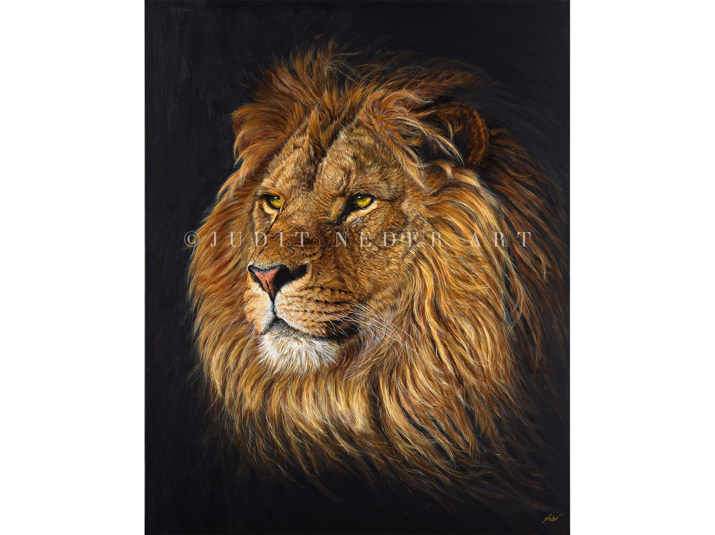 "Freedom" Lion Print